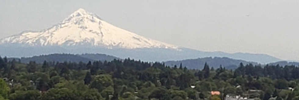 20190610_132106.jpg