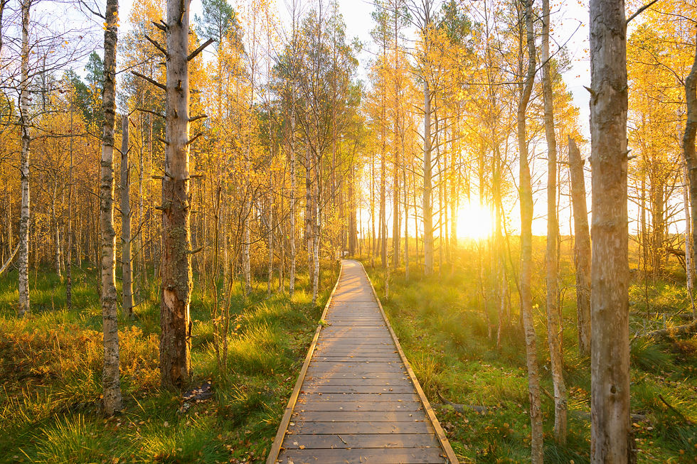 A clear path forward — one step at a time.