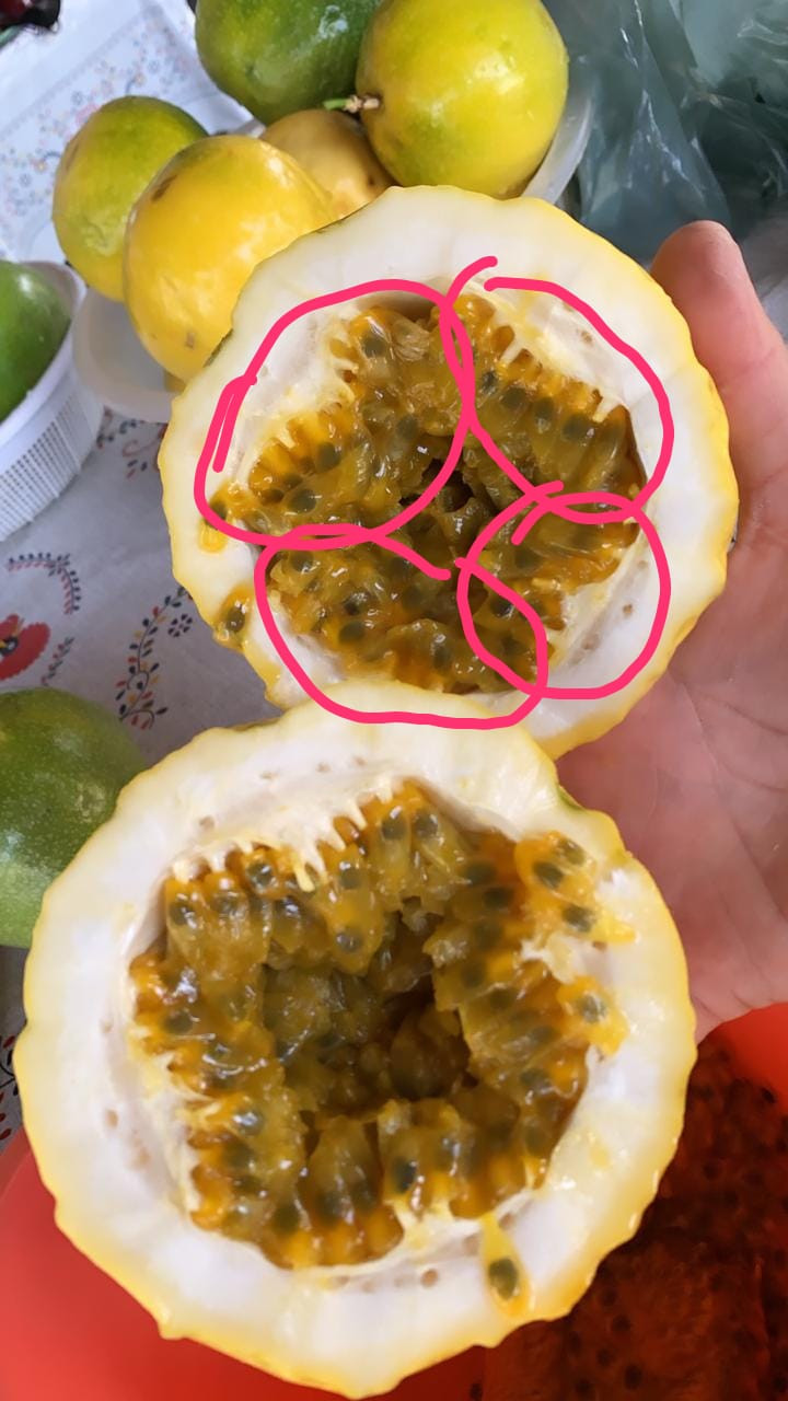 Maracujá bem polinizado