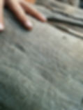 wood-worms-leag.jpeg