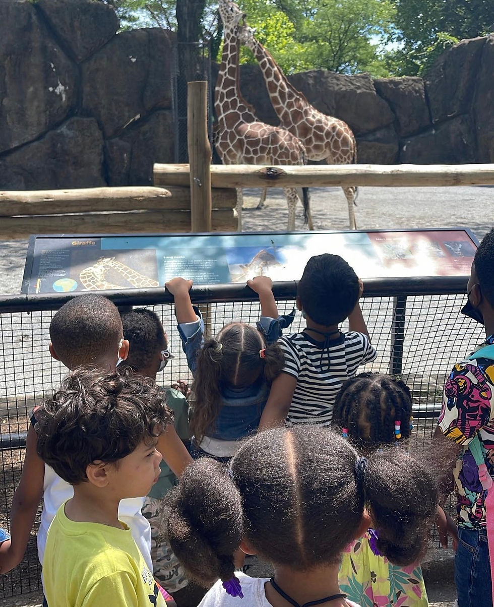 zoo.jpg
