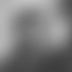 Detailed Cat Description by Jason