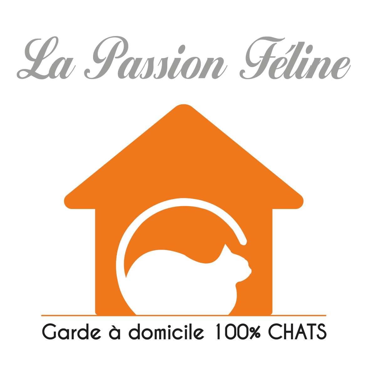 Pension Pour Chat Marseille La Passion Feline France
