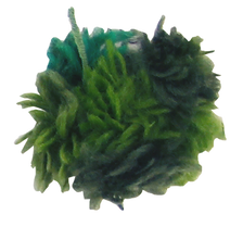 web11_edited.png