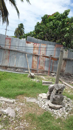 View of Back Yard