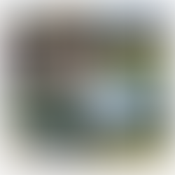 環境整備のお手伝い