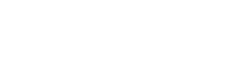 ACE_asset_Square Lines_white.png
