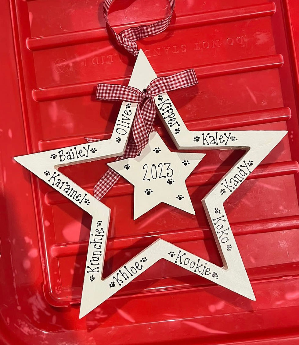 Thumbnail: Large Family Star