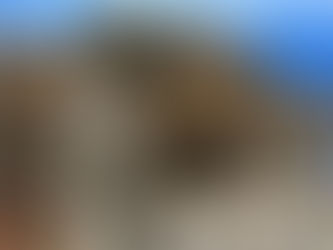 Narco-Barroco: ¿Arquitectura o síntoma social?