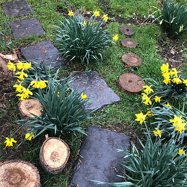Log path.jpeg
