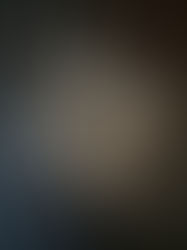 GALACTIC WIZARD BUTTERFLY