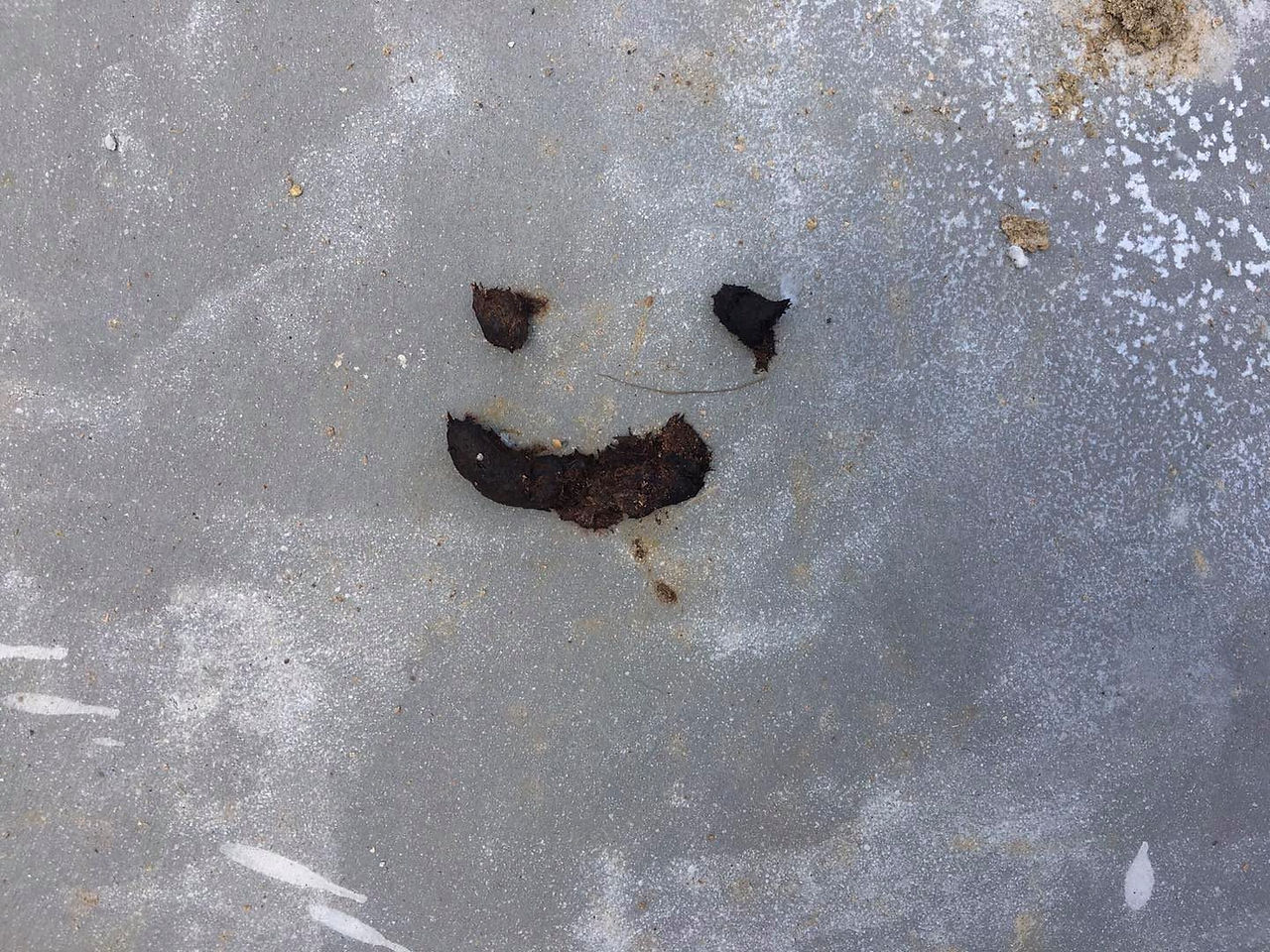 Duck art. 💩