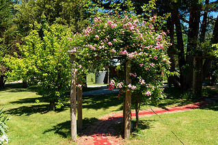 DSC01377.jpg