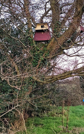 Barn Owl Nestbox