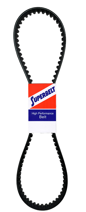 faja dentada_edited_edited.png