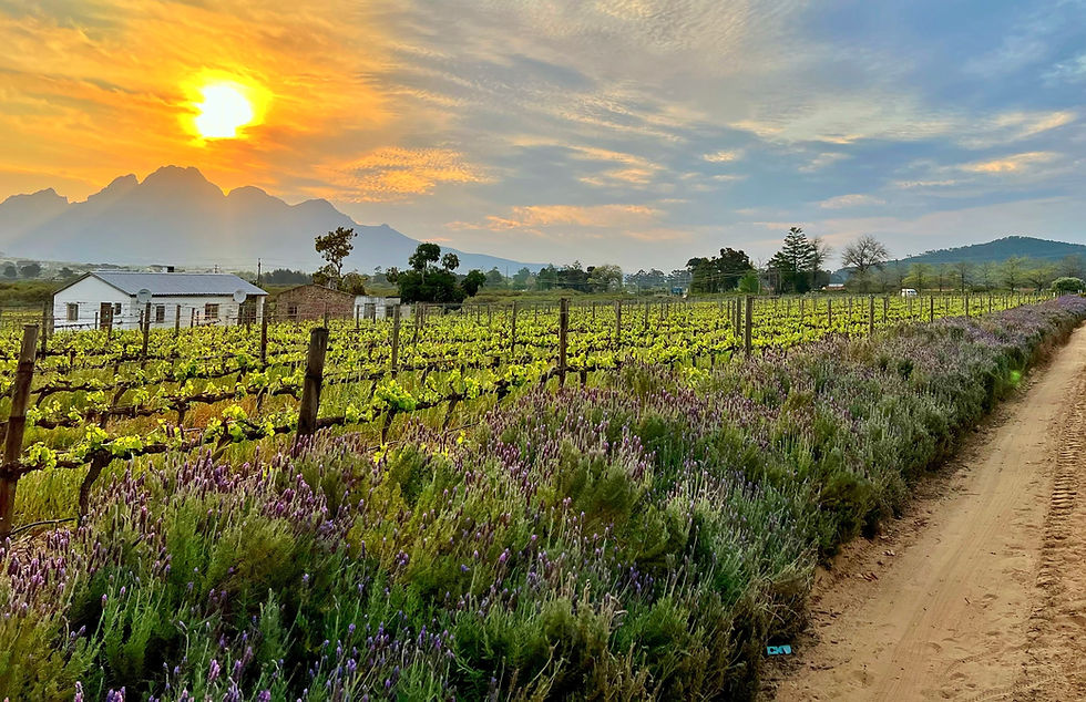 Thumbnail: Prime Location Farm With Exceptional Views “Franschhoek Valley”