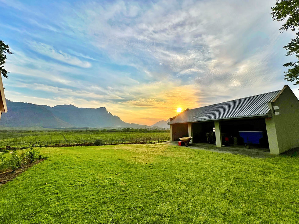 Thumbnail: Prime Location Farm With Exceptional Views “Franschhoek Valley”
