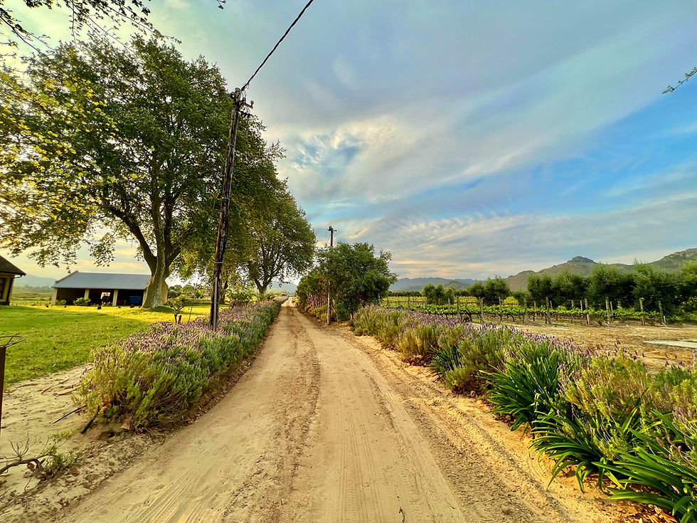 Thumbnail: Prime Location Farm With Exceptional Views “Franschhoek Valley”