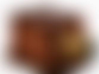 Who took the first photograph?