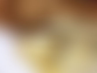 No-Knead English Muffin Bread