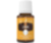 Lemon Essential Oil.jpeg