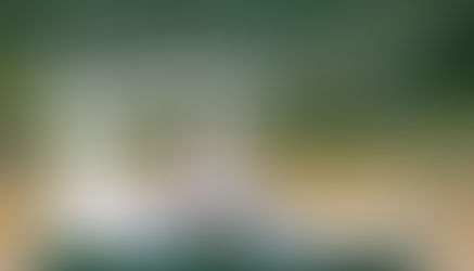 My impression and lessons from two rainforests 19,000 km apart