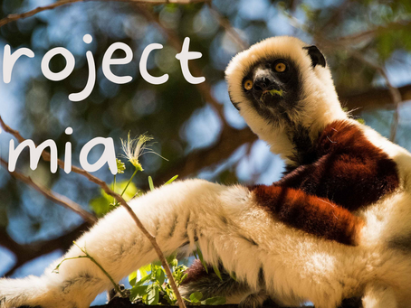 Welcome to Project Simia