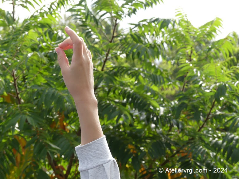 "Les visites scolaires environnementales" : Une première sortie pour des élèves du primaire !