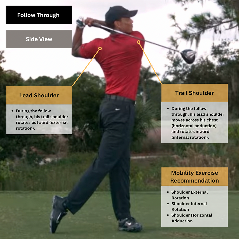Tiger Woods golf swing