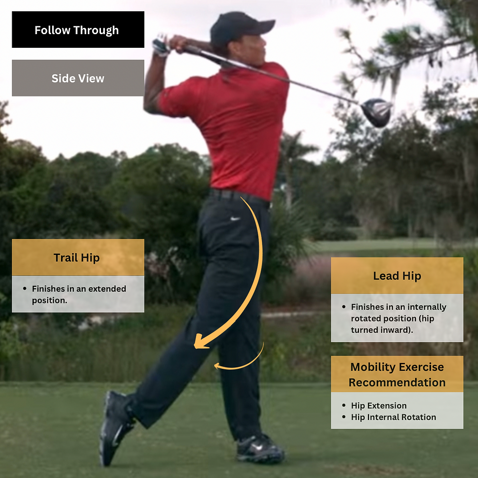 Tiger Woods golf swing
