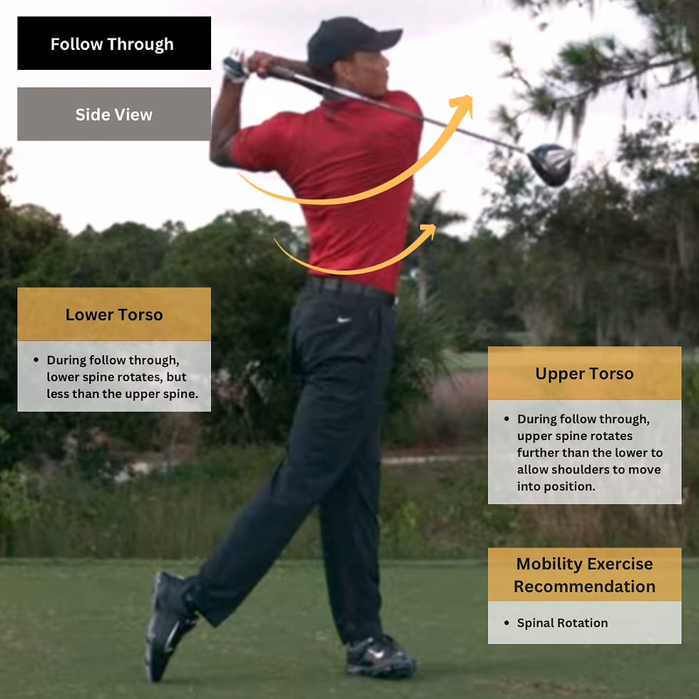 Tiger Woods golf swing