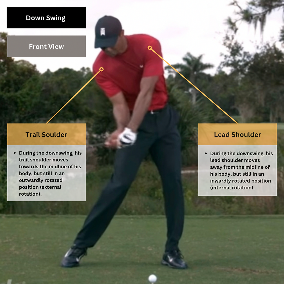 Tiger Woods golf swing