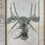 Thumbnail: Collins, Systeme of Anatomy, 1685