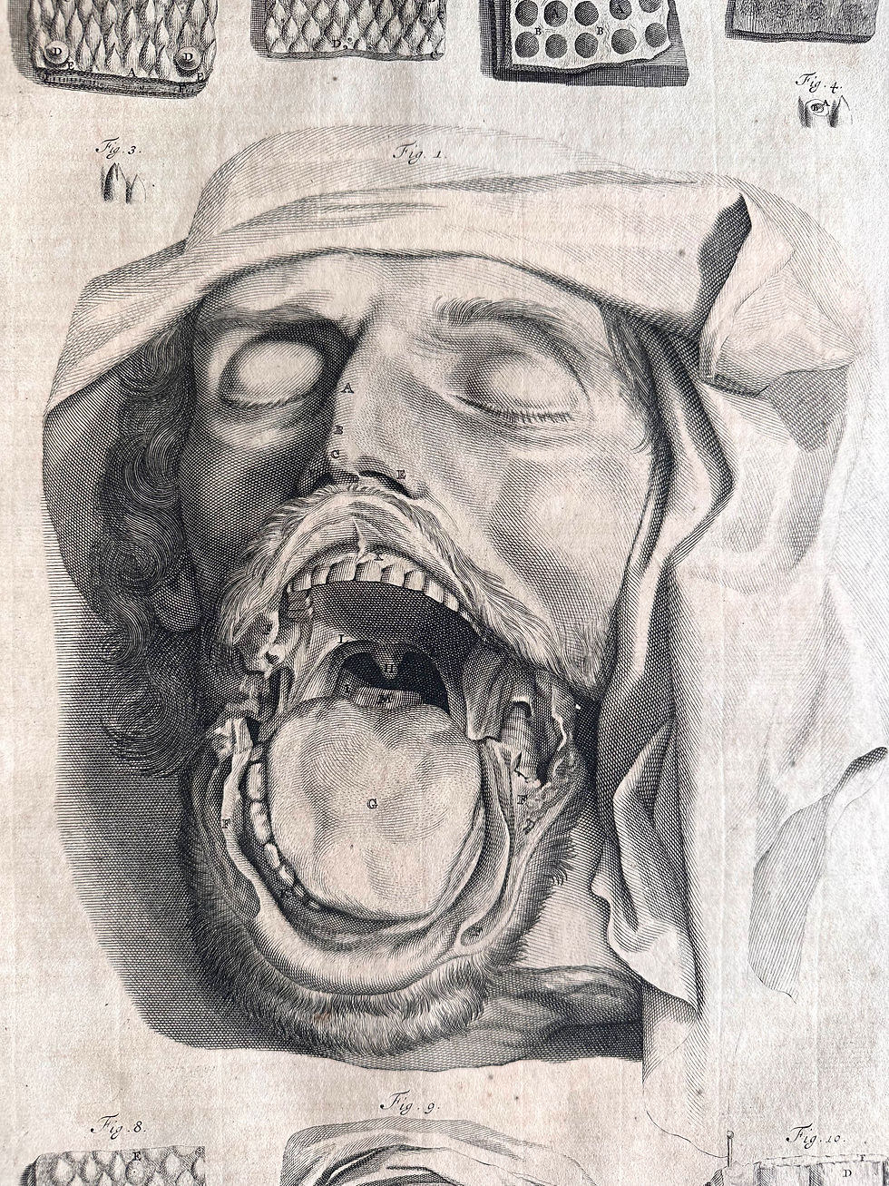 Thumbnail: Cowper, Anatomia Corporum Humanorum, 1739. (Howard Atwood Kelly’s Copy)