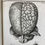 Thumbnail: Collins, Systeme of Anatomy, 1685