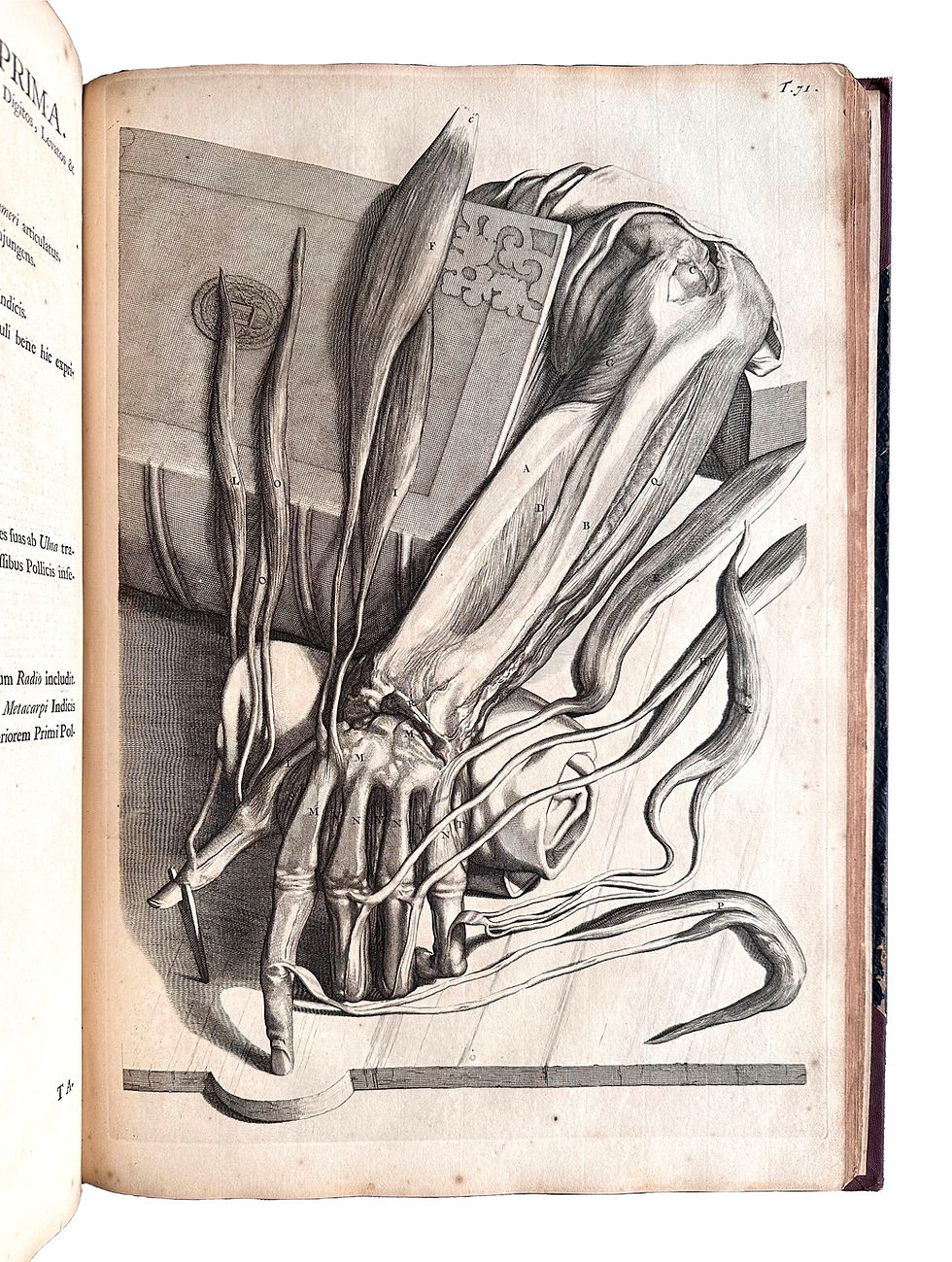 Thumbnail: Cowper, Anatomia Corporum Humanorum, 1739. (Howard Atwood Kelly’s Copy)