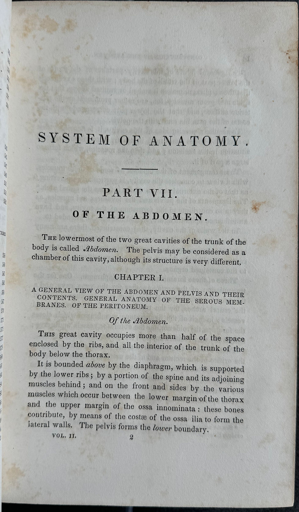 Thumbnail: Wistar's Anatomy (Pancoast), 8th ed, 1842