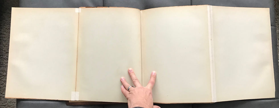 Thumbnail: Esser, Biological Flaps, circa 1928