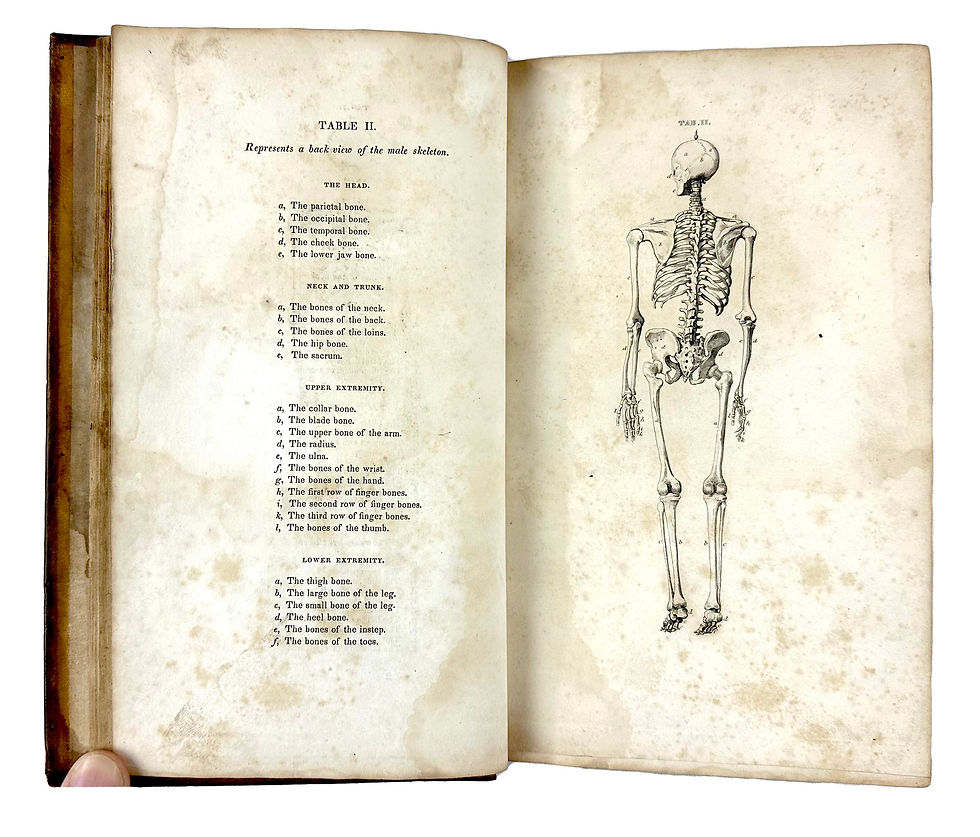 Thumbnail: Paxton, An Introduction to the Study of Human Anatomy, 1844