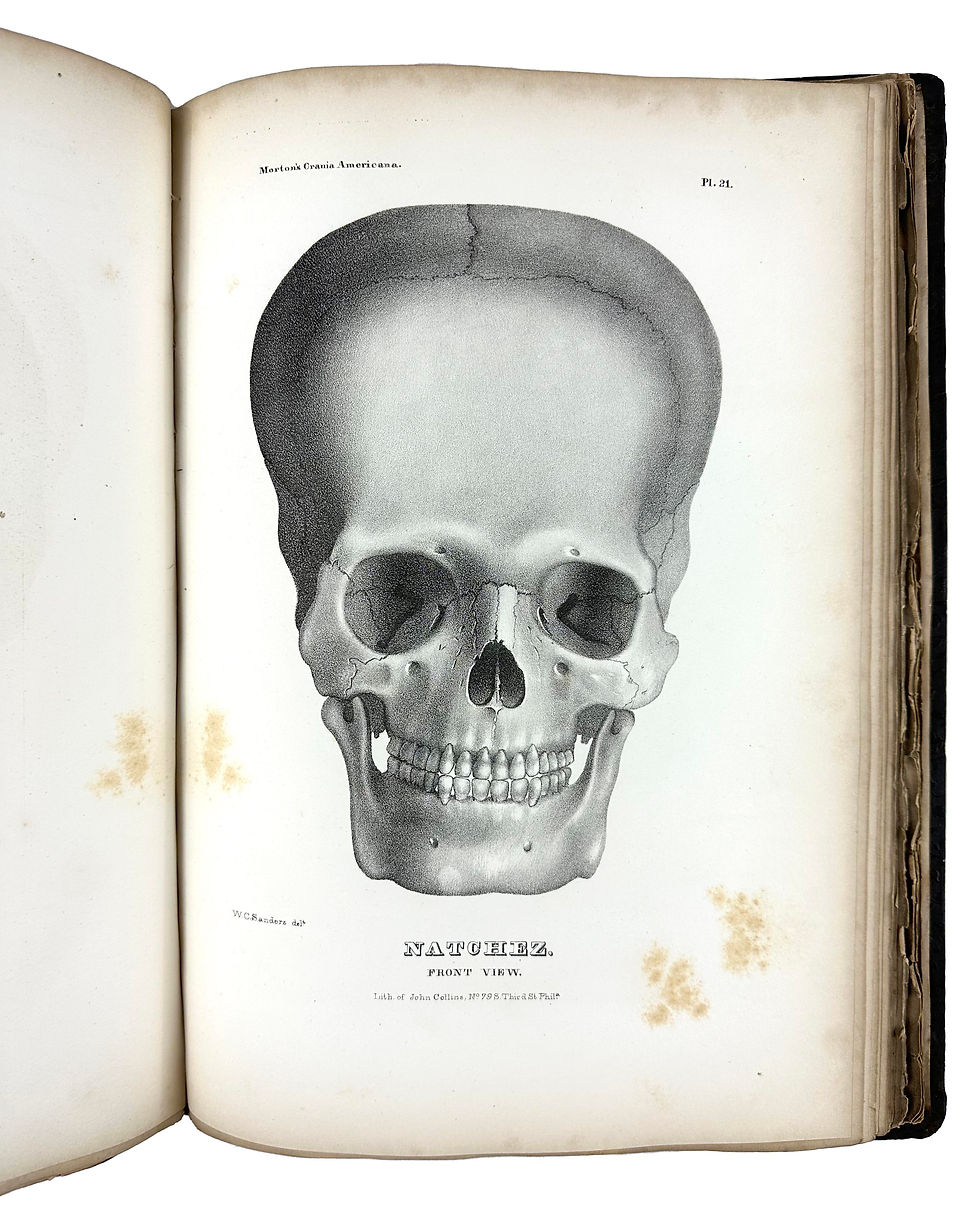 Thumbnail: Morton, Crania Americana, 1839