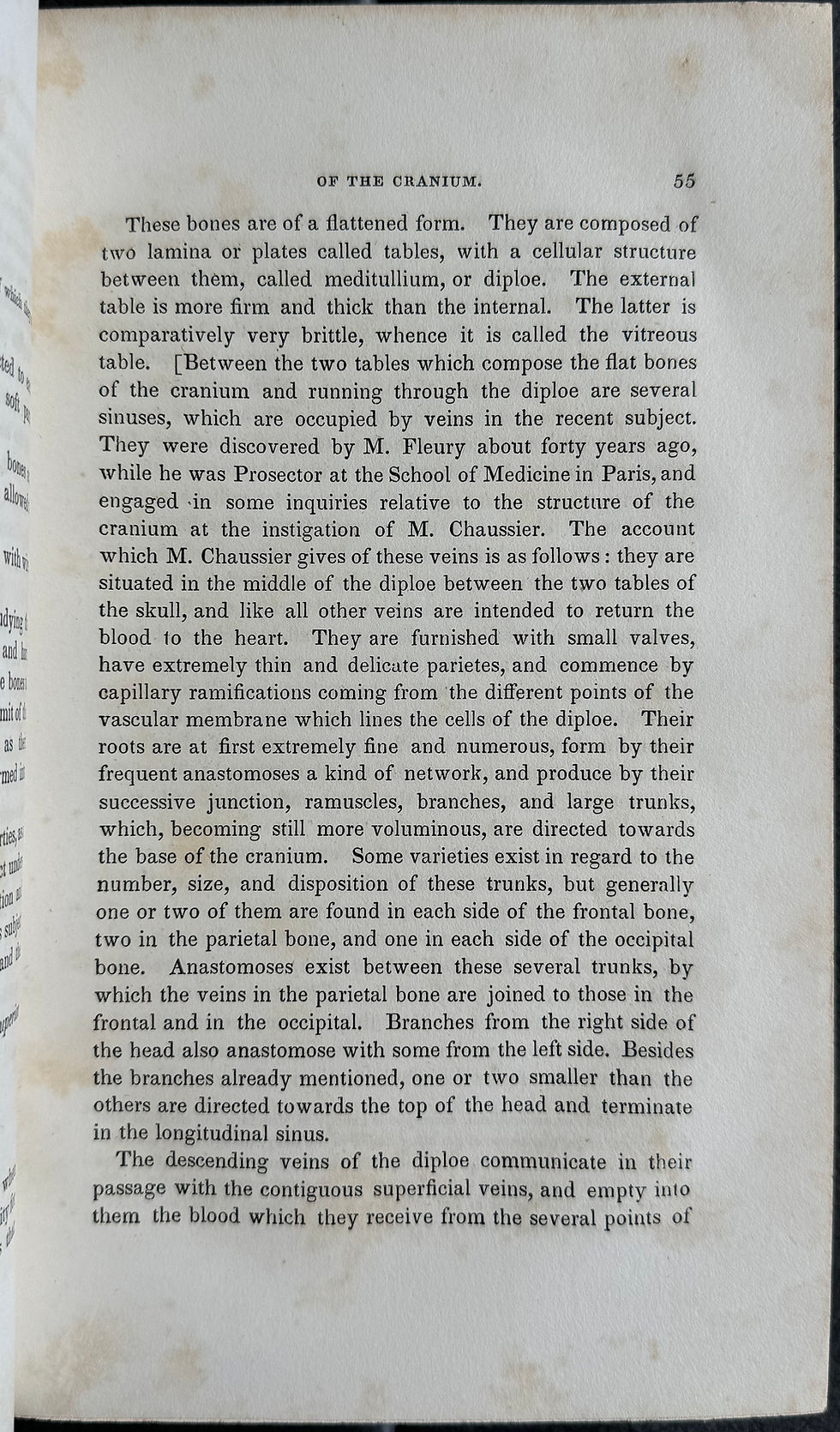 Thumbnail: Wistar's Anatomy (Pancoast), 8th ed, 1842