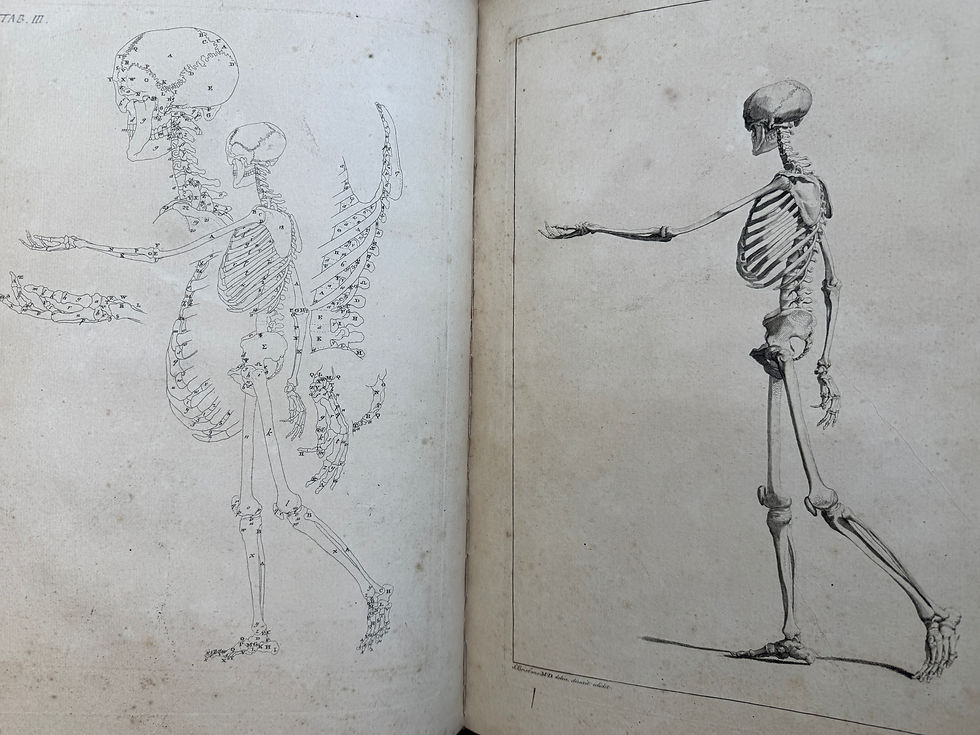 Thumbnail: Brisbane, Anatomy of Painting, 1769