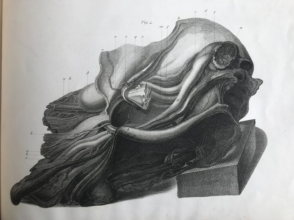 Thumbnail: Cooper, Hernia, 1827, inscribed by Bransby Cooper