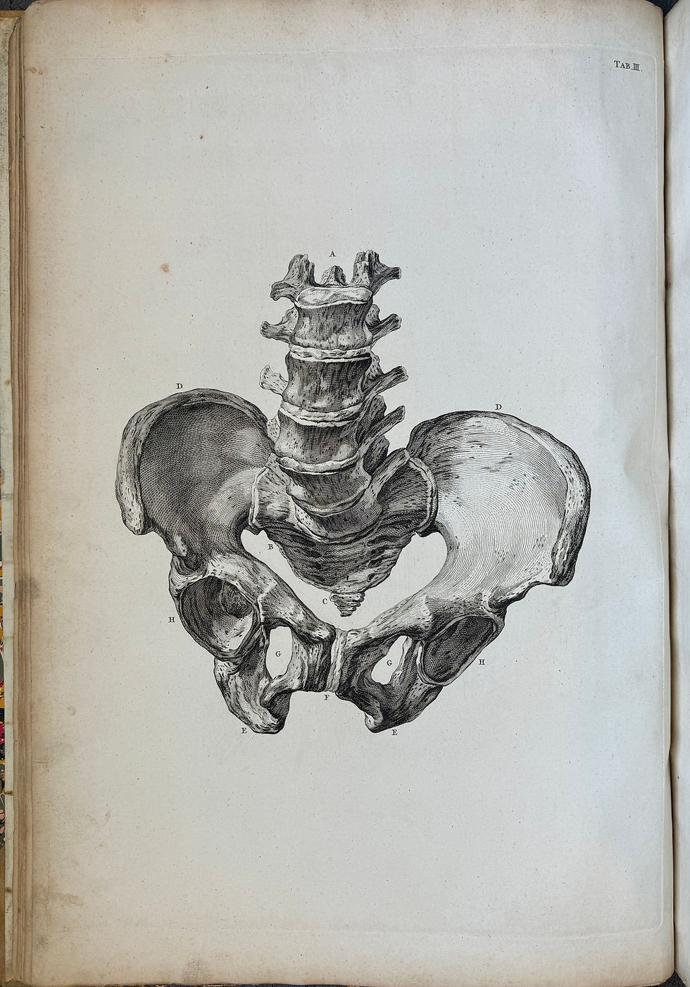 Thumbnail: Smellie, A Sett of Anatomical Tables (on midwifery), First ed, 1754