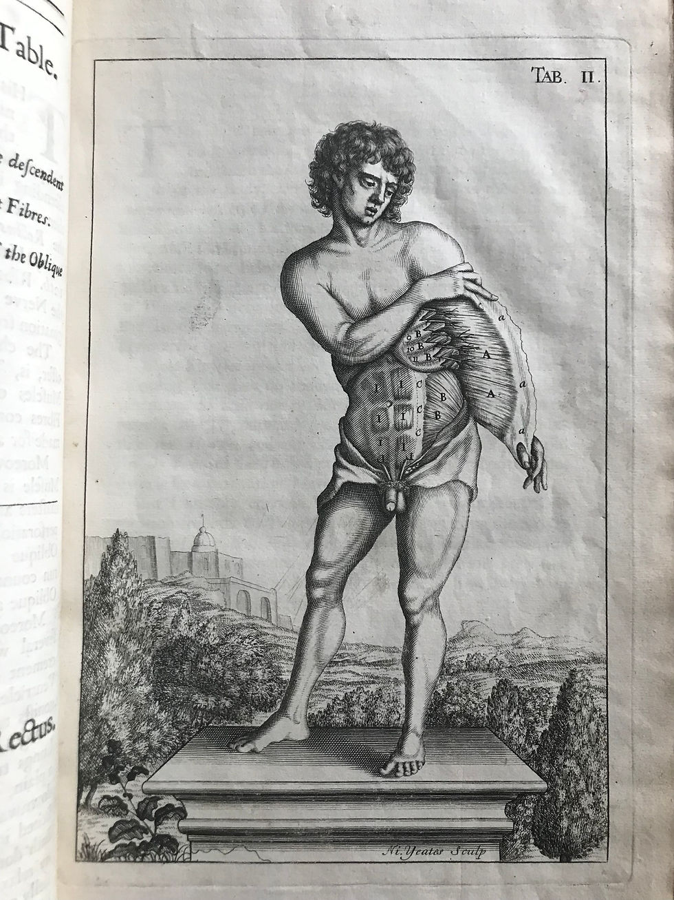 Thumbnail: Browne, Compleat Treatise of the Muscles, first ed. 1681
