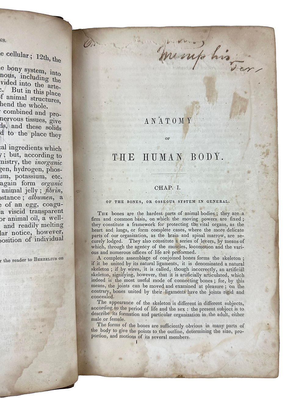 Thumbnail: Paxton, An Introduction to the Study of Human Anatomy, 1844