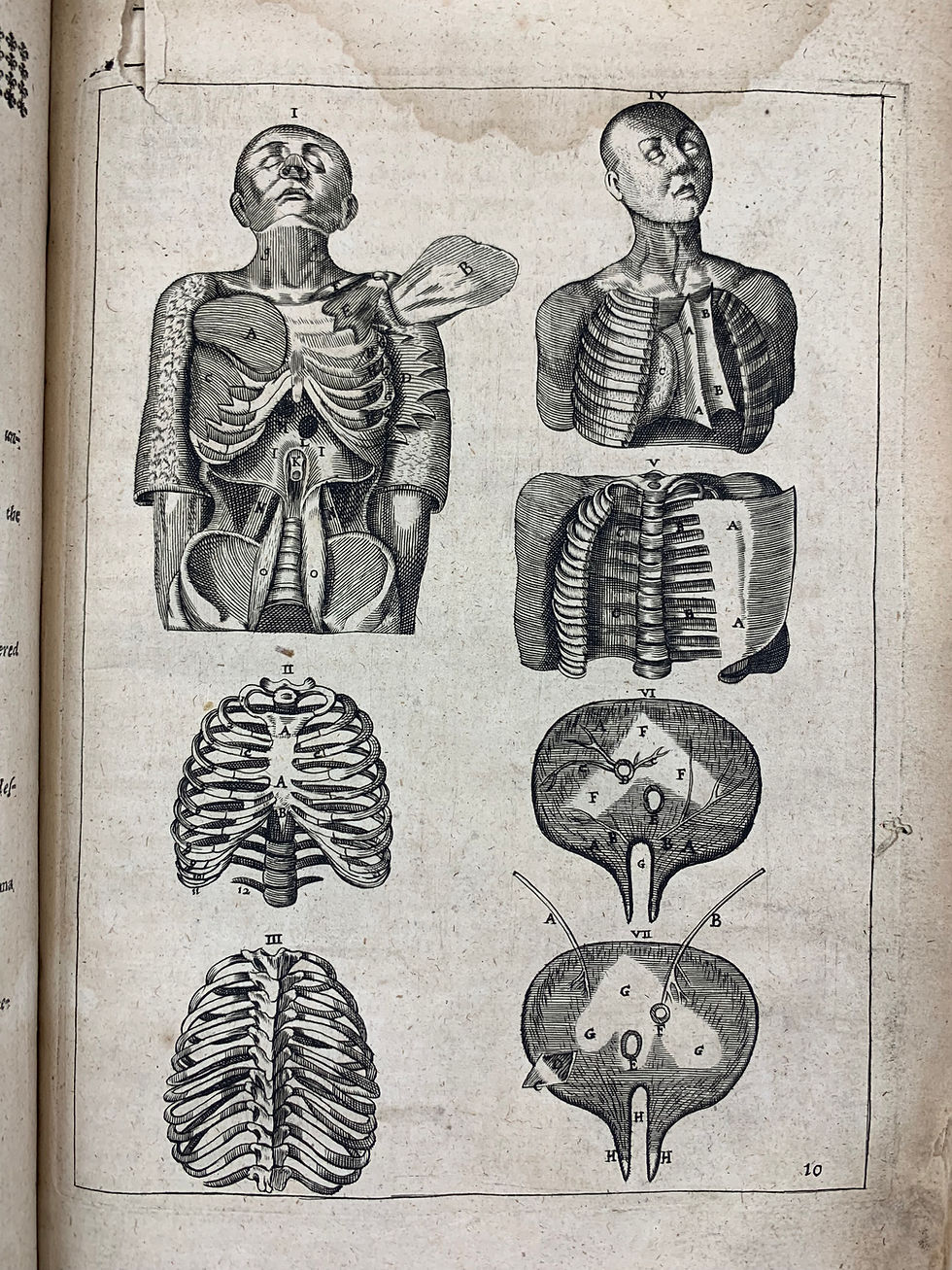 Thumbnail: Culpeper’s Vesling, Anatomy of the Body of Man, 1653