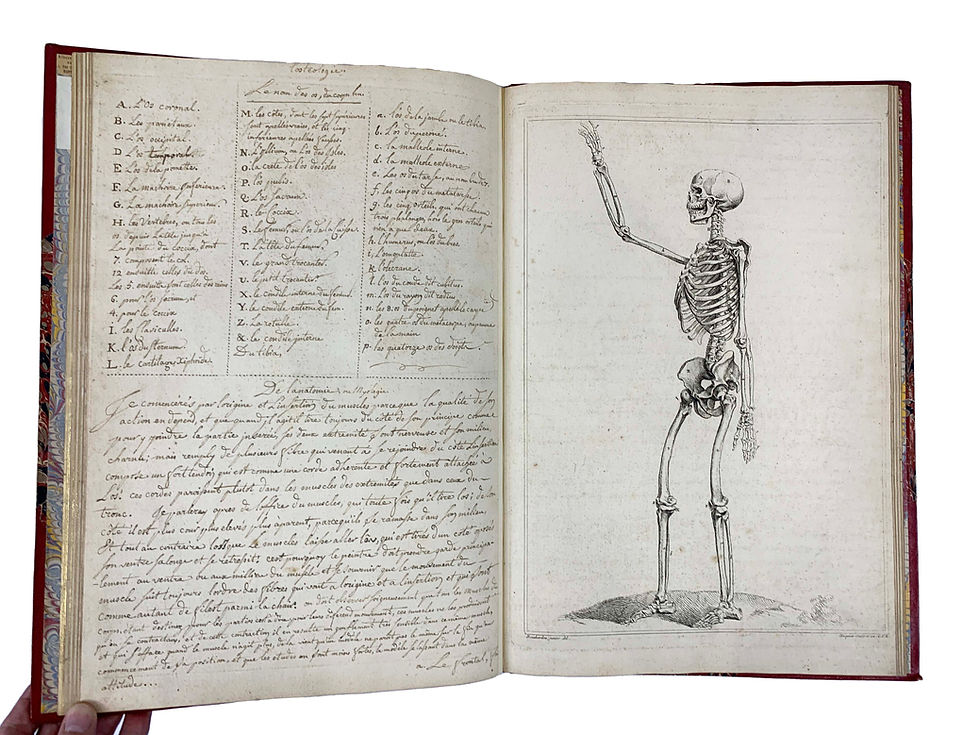 Thumbnail: Tortebat/ De Piles Abrege D’Anatomie, 1765