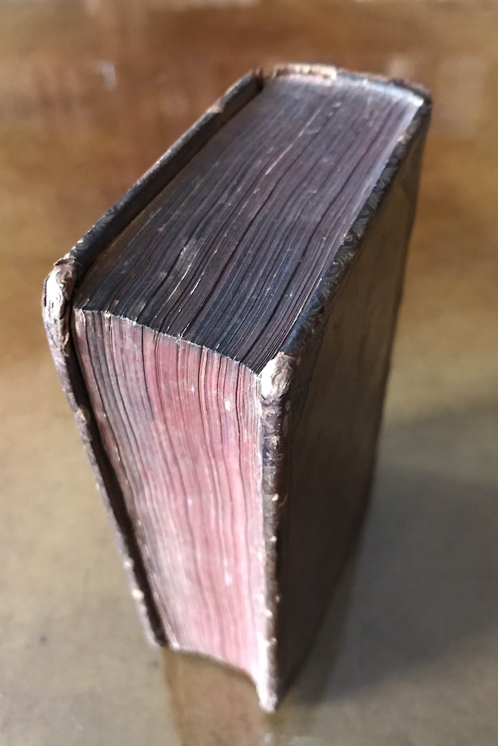 Thumbnail: Celsus De Medicina 1665