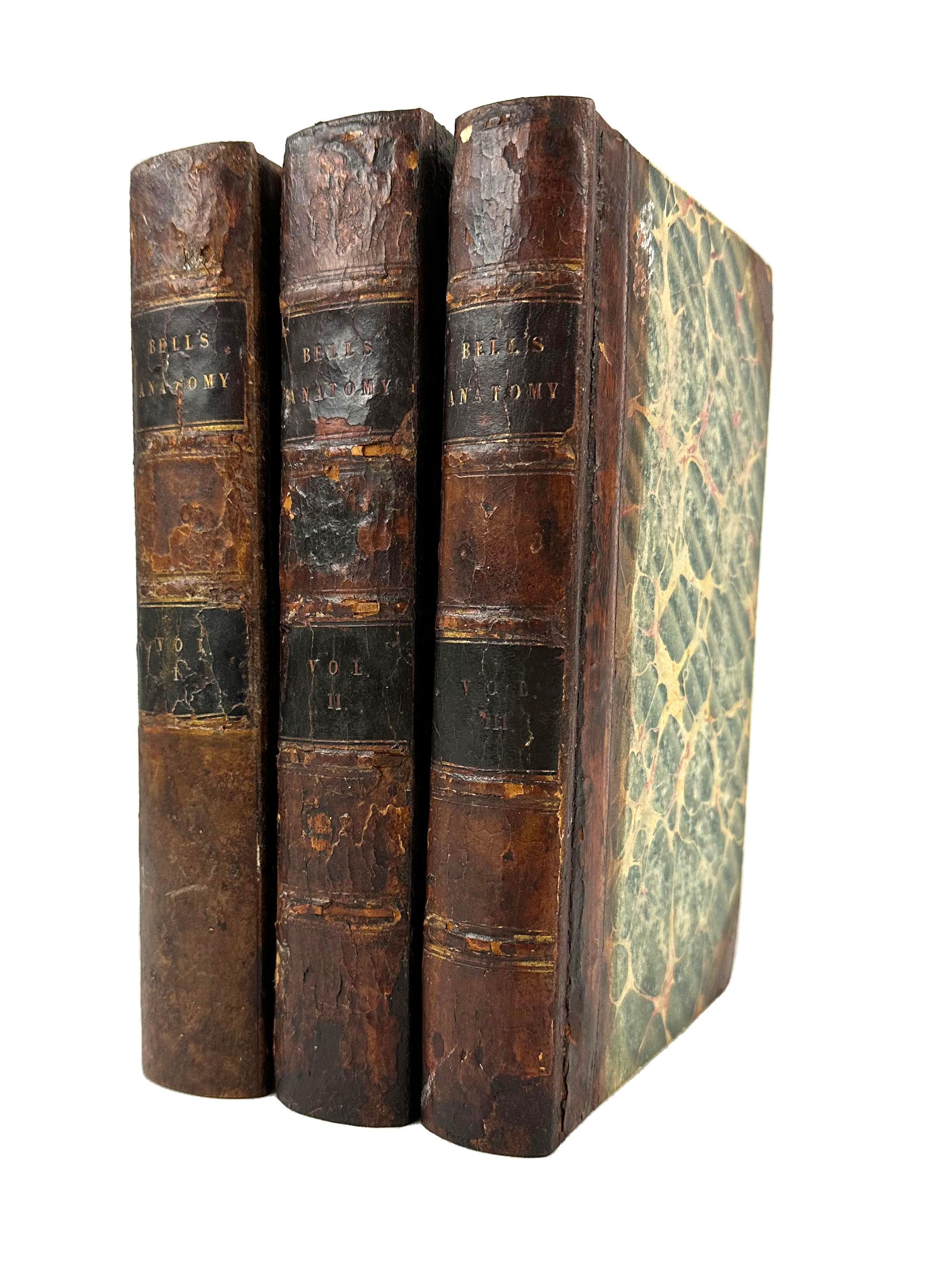 Bell, The Anatomy and Physiology of the Human Body, 1829